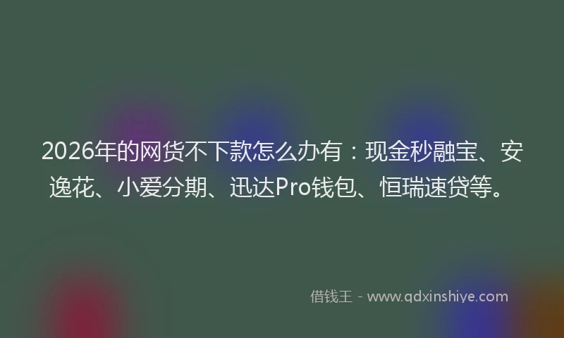 2026年的网货不下款怎么办有：现金秒融宝、安逸花、小爱分期、迅达Pro钱包、恒瑞速贷等。