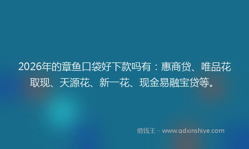 2026年的章鱼口袋好下款吗有：惠商贷、唯品花取现、天源花、新一花、现金易融宝贷等。