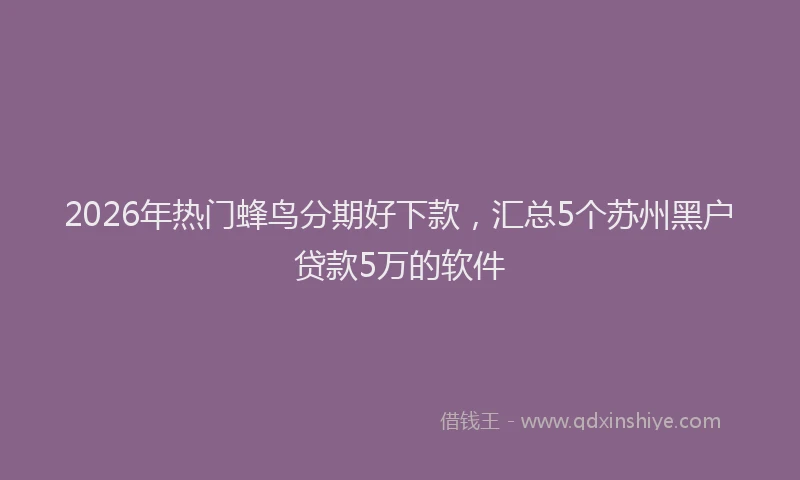2026年热门蜂鸟分期好下款，汇总5个苏州黑户贷款5万的软件