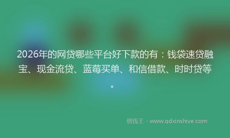 2026年的网贷哪些平台好下款的有:钱袋速贷融宝、现金流贷、蓝莓买单、和信借款、时时贷等。