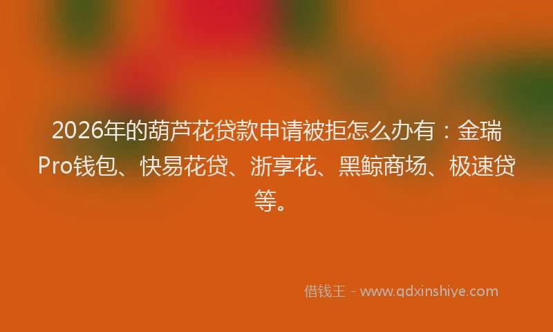 2026年的葫芦花贷款申请被拒怎么办有：金瑞Pro钱包、快易花贷、浙享花、黑鲸商场、极速贷等。