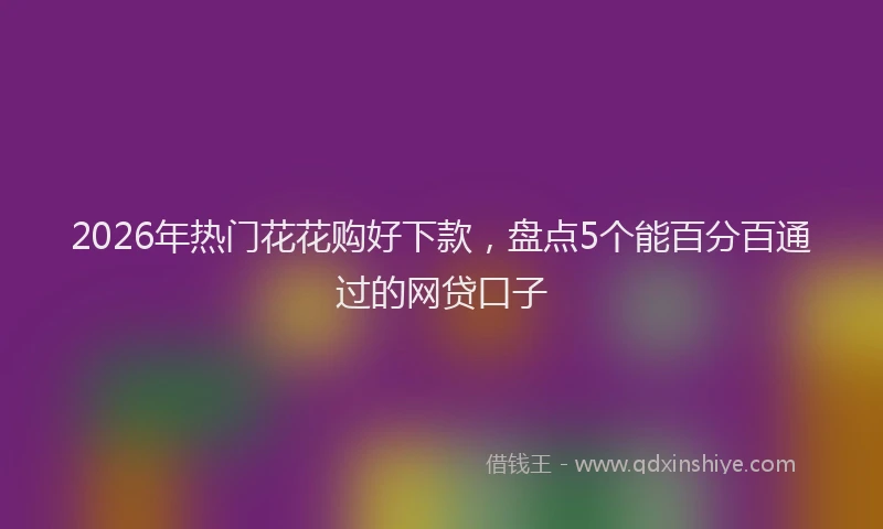 2026年热门花花购好下款，盘点5个能百分百通过的网贷口子