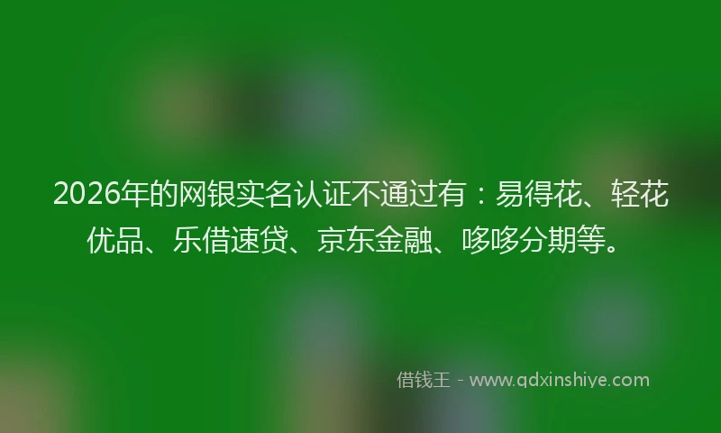 2026年的网银实名认证不通过有：易得花、轻花优品、乐借速贷、京东金融、哆哆分期等。