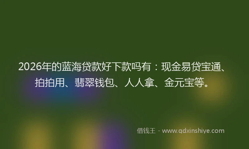 2026年的蓝海贷款好下款吗有:现金易贷宝通、拍拍用、翡翠钱包、人人拿、金元宝等。