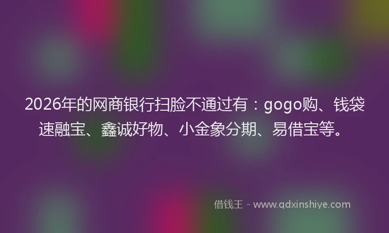 2026年的网商银行扫脸不通过有：gogo购、钱袋速融宝、鑫诚好物、小金象分期、易借宝等。