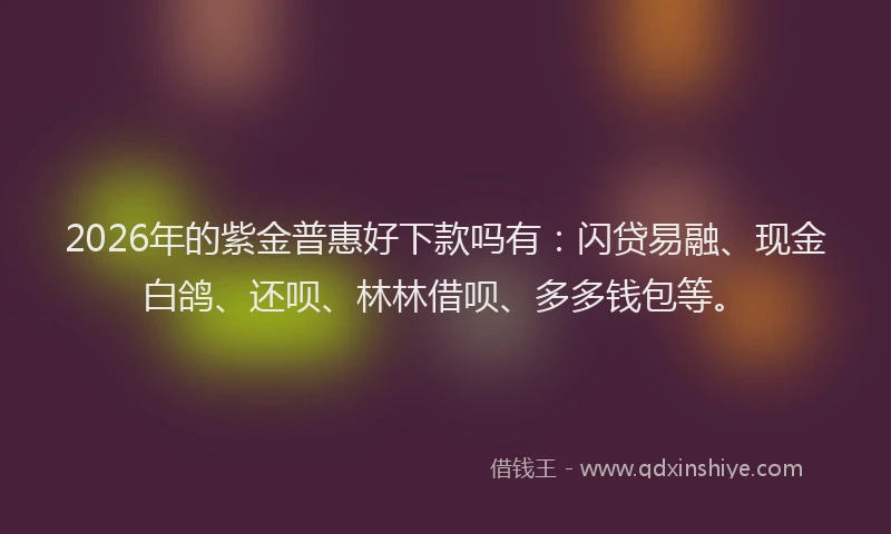 2026年的紫金普惠好下款吗有：闪贷易融、现金白鸽、还呗、林林借呗、多多钱包等。