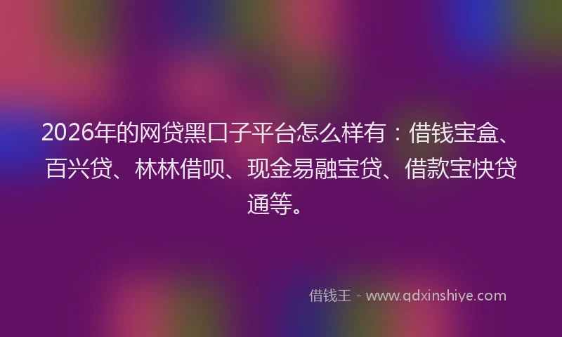 2026年的网贷黑口子平台怎么样有：借钱宝盒、百兴贷、林林借呗、现金易融宝贷、借款宝快贷通等。