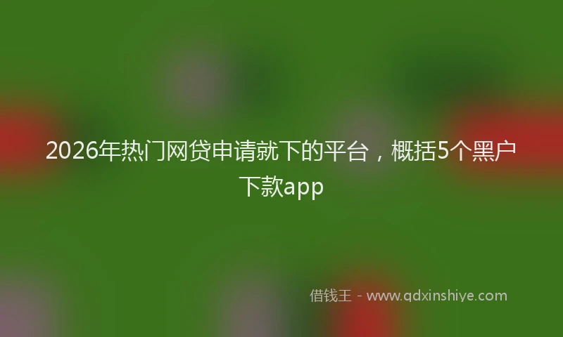 2026年热门网贷申请就下的平台，概括5个黑户下款app