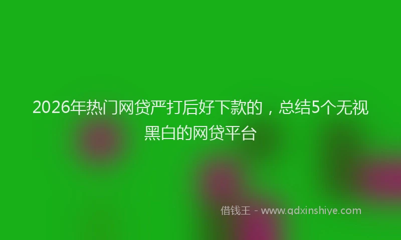 2026年热门网贷严打后好下款的，总结5个无视黑白的网贷平台