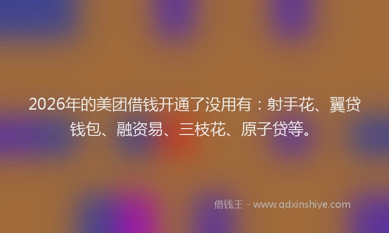 2026年的美团借钱开通了没用有:射手花、翼贷钱包、融资易、三枝花、原子贷等。