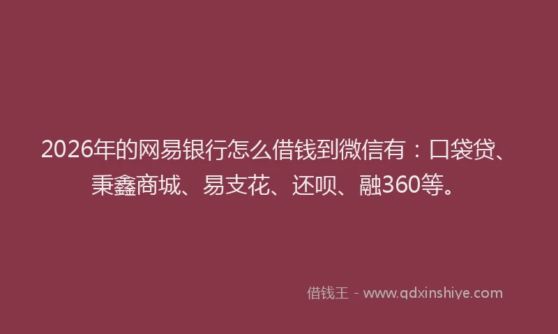 2026年的网易银行怎么借钱到微信有：口袋贷、秉鑫商城、易支花、还呗、融360等。