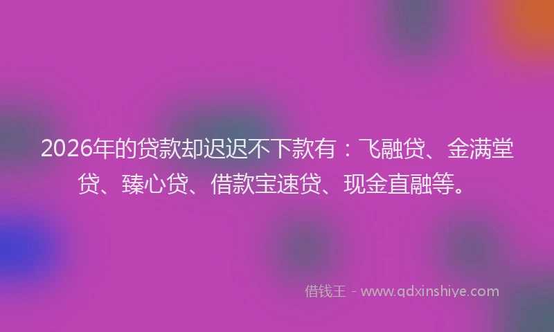2026年的贷款却迟迟不下款有：飞融贷、金满堂贷、臻心贷、借款宝速贷、现金直融等。