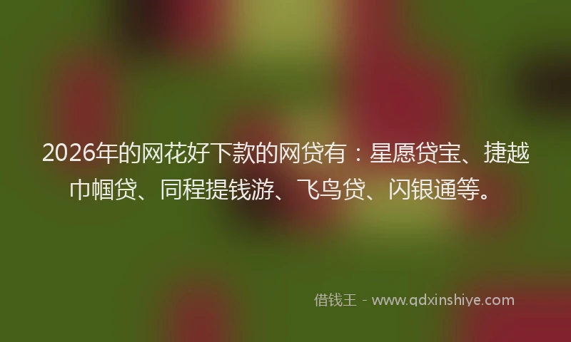 2026年的网花好下款的网贷有：星愿贷宝、捷越巾帼贷、同程提钱游、飞鸟贷、闪银通等。