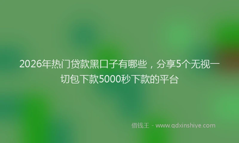 2026年热门贷款黑口子有哪些，分享5个无视一切包下款5000秒下款的平台