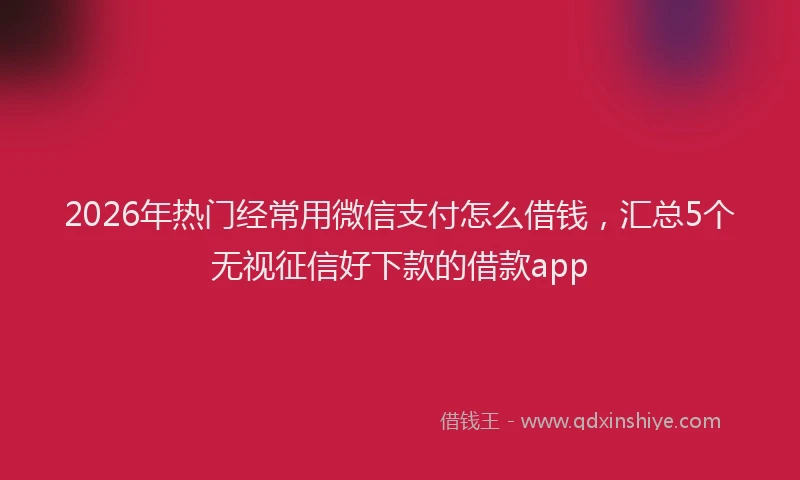 2026年热门经常用微信支付怎么借钱，汇总5个无视征信好下款的借款app