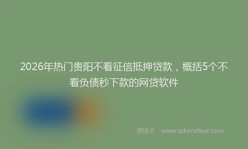 2026年热门贵阳不看征信抵押贷款，概括5个不看负债秒下款的网贷软件