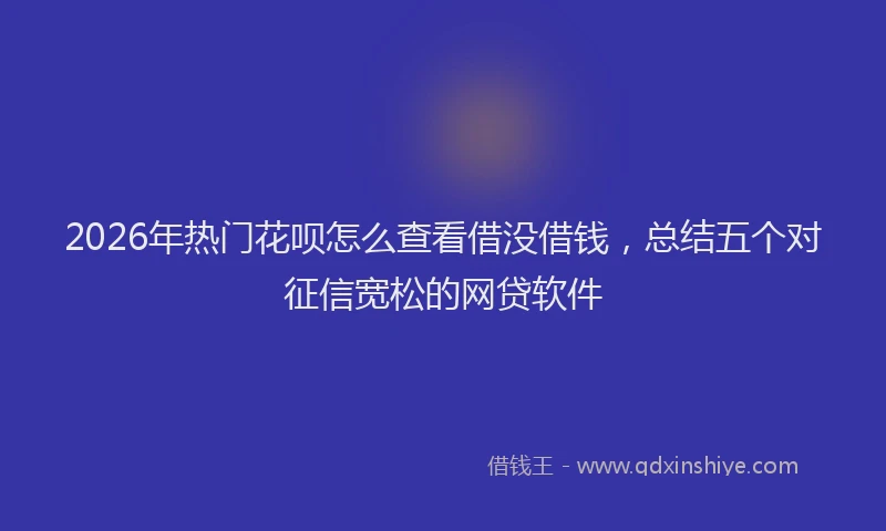 2026年热门花呗怎么查看借没借钱,总结五个对征信宽松的网贷软件