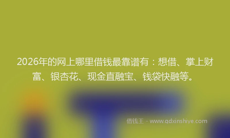 2026年的网上哪里借钱最靠谱有：想借、掌上财富、银杏花、现金直融宝、钱袋快融等。