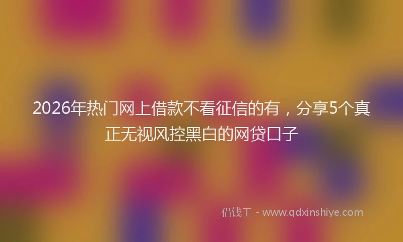 2026年热门网上借款不看征信的有，分享5个真正无视风控黑白的网贷口子