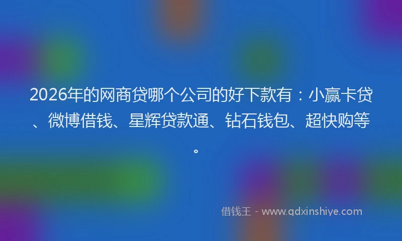 2026年的网商贷哪个公司的好下款有：小赢卡贷、微博借钱、星辉贷款通、钻石钱包、超快购等。