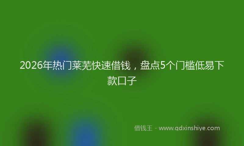 2026年热门莱芜快速借钱，盘点5个门槛低易下款口子