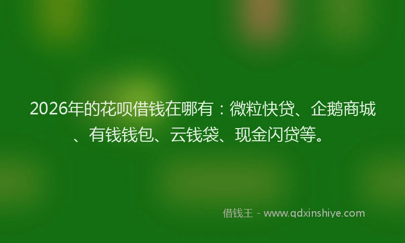 2026年的花呗借钱在哪有：微粒快贷、企鹅商城、有钱钱包、云钱袋、现金闪贷等。