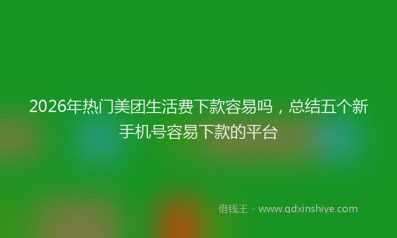 2026年热门美团生活费下款容易吗，总结五个新手机号容易下款的平台
