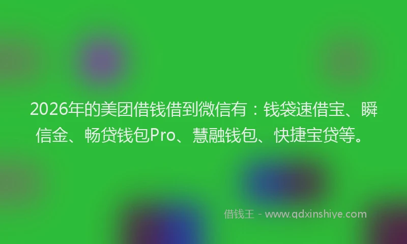 2026年的美团借钱借到微信有：钱袋速借宝、瞬信金、畅贷钱包Pro、慧融钱包、快捷宝贷等。