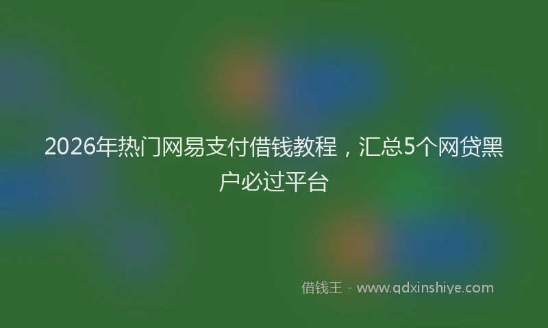 2026年热门网易支付借钱教程，汇总5个网贷黑户必过平台
