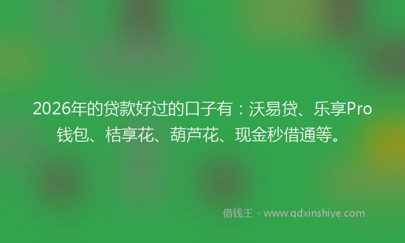 2026年的贷款好过的口子有：沃易贷、乐享Pro钱包、桔享花、葫芦花、现金秒借通等。