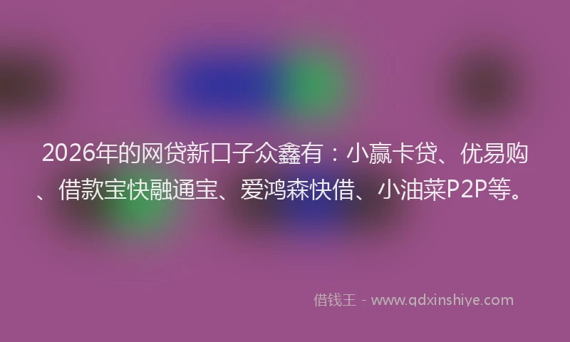 2026年的网贷新口子众鑫有：小赢卡贷、优易购、借款宝快融通宝、爱鸿森快借、小油菜P2P等。