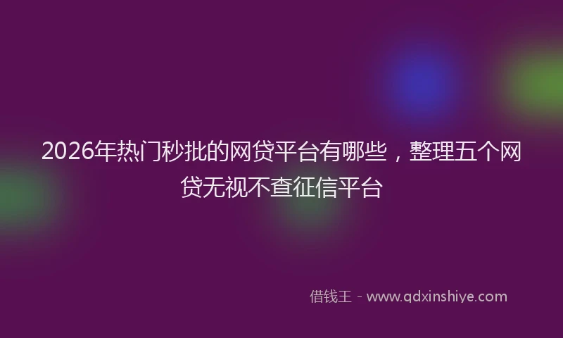 2026年热门秒批的网贷平台有哪些，整理五个网贷无视不查征信平台