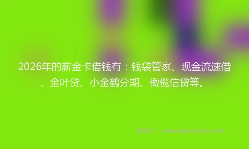2026年的薪金卡借钱有：钱袋管家、现金流速借、金叶贷、小金鹤分期、橄榄信贷等。