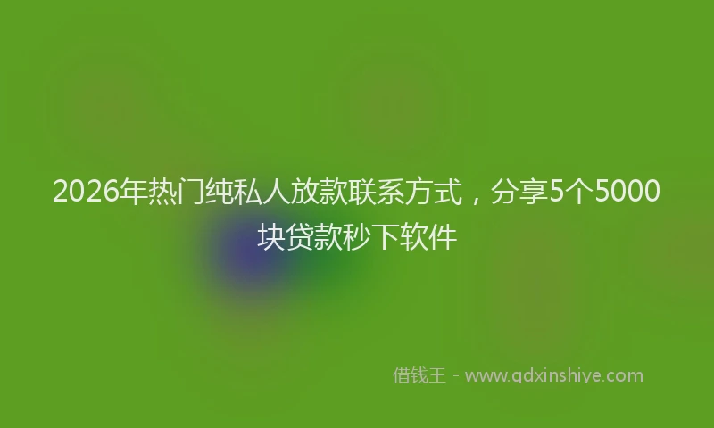 2026年热门纯私人放款联系方式,分享5个5000块贷款秒下软件
