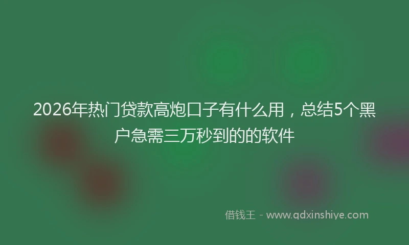 2026年热门贷款高炮口子有什么用，总结5个黑户急需三万秒到的的软件