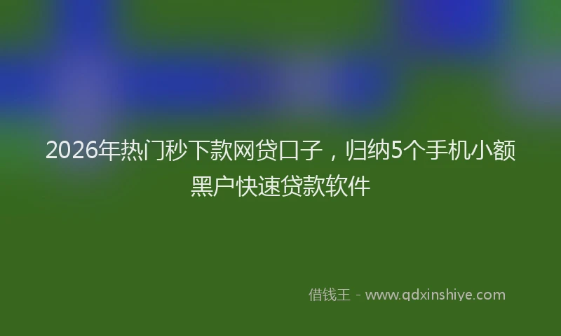 2026年热门秒下款网贷口子，归纳5个手机小额黑户快速贷款软件