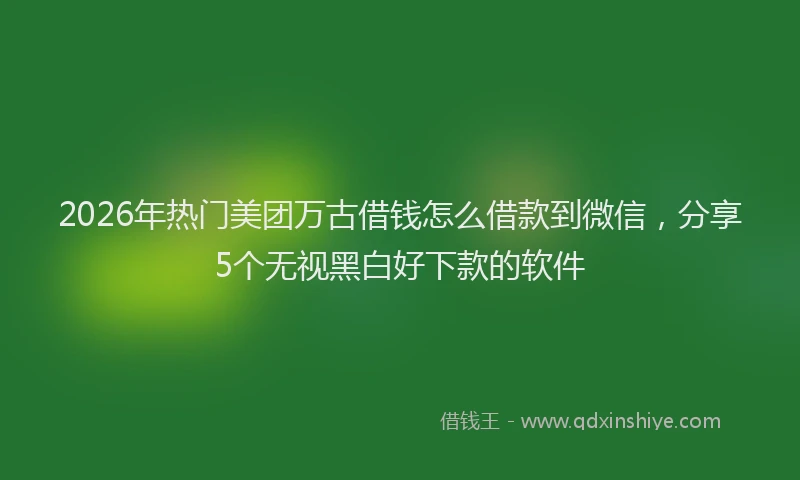 2026年热门美团万古借钱怎么借款到微信，分享5个无视黑白好下款的软件