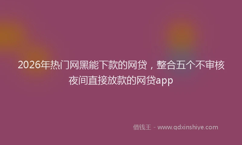 2026年热门网黑能下款的网贷，整合五个不审核夜间直接放款的网贷app