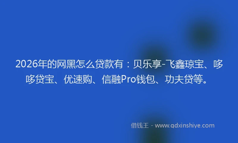 2026年的网黑怎么贷款有：贝乐享-飞鑫琼宝、哆哆贷宝、优速购、信融Pro钱包、功夫贷等。