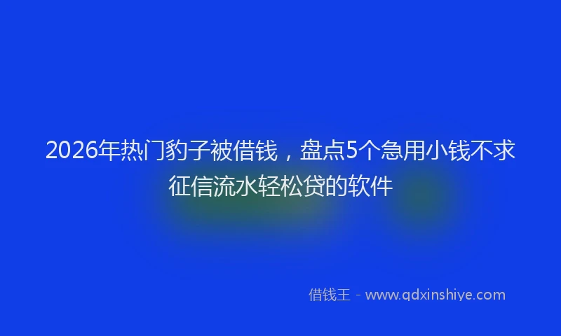 2026年热门豹子被借钱，盘点5个急用小钱不求征信流水轻松贷的软件