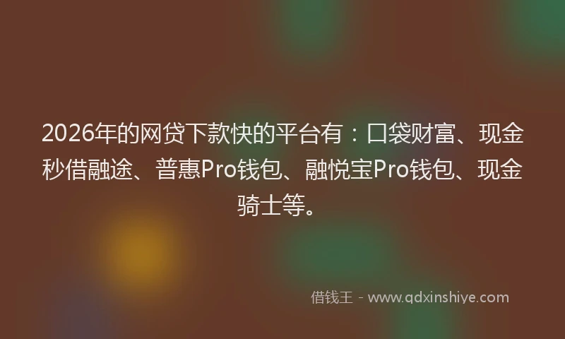 2026年的网贷下款快的平台有：口袋财富、现金秒借融途、普惠Pro钱包、融悦宝Pro钱包、现金骑士等。