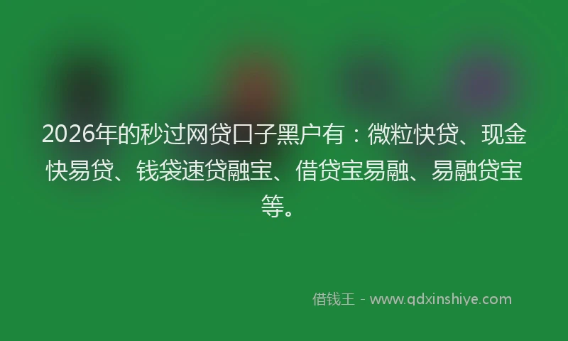 2026年的秒过网贷口子黑户有：微粒快贷、现金快易贷、钱袋速贷融宝、借贷宝易融、易融贷宝等。