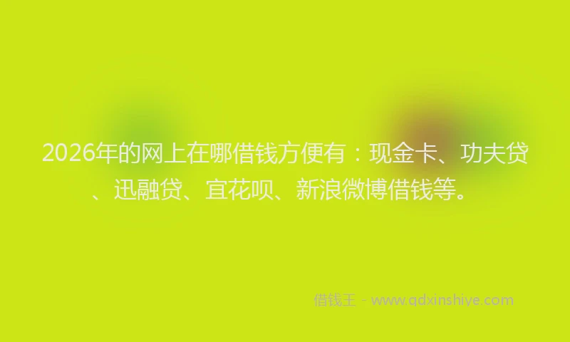 2026年的网上在哪借钱方便有：现金卡、功夫贷、迅融贷、宜花呗、新浪微博借钱等。