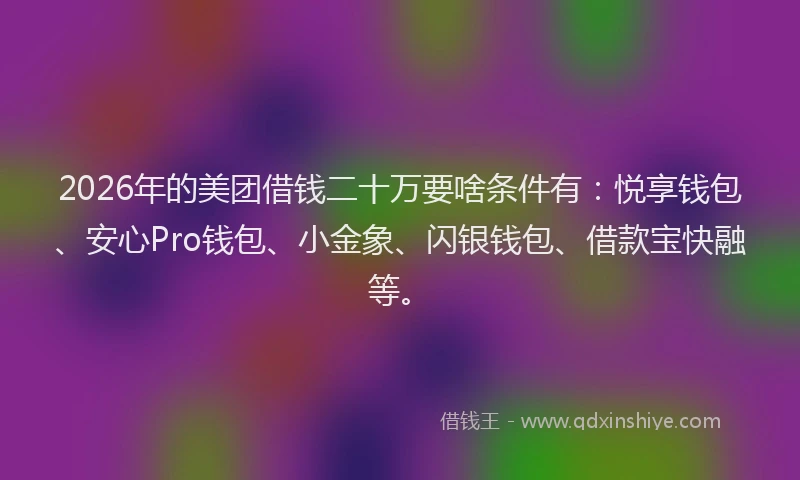 2026年的美团借钱二十万要啥条件有：悦享钱包、安心Pro钱包、小金象、闪银钱包、借款宝快融等。