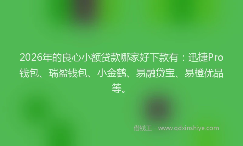 2026年的良心小额贷款哪家好下款有：迅捷Pro钱包、瑞盈钱包、小金鹤、易融贷宝、易橙优品等。