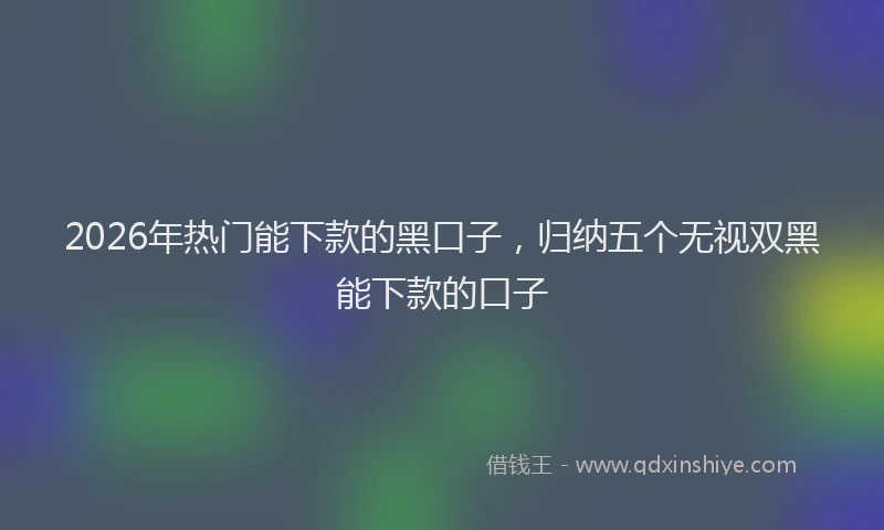 2026年热门能下款的黑口子，归纳五个无视双黑能下款的口子