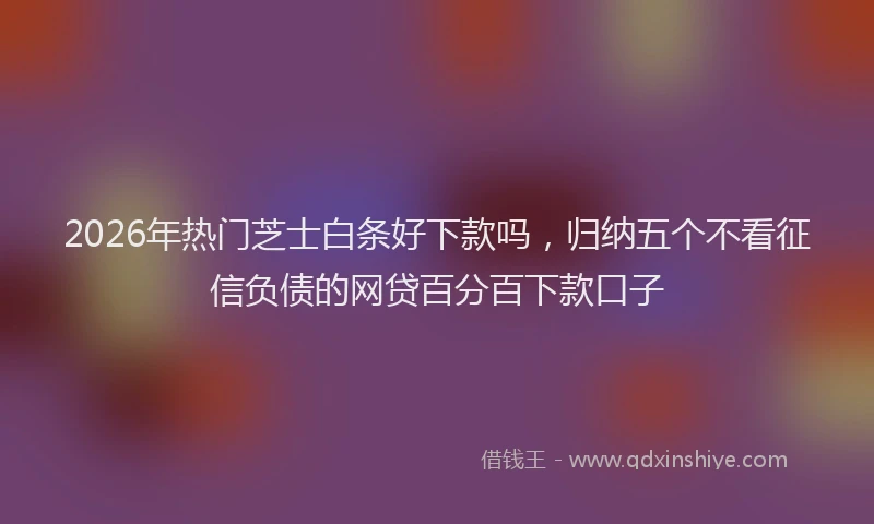 2026年热门芝士白条好下款吗，归纳五个不看征信负债的网贷百分百下款口子