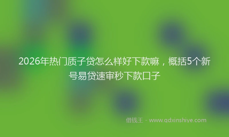 2026年热门质子贷怎么样好下款嘛，概括5个新号易贷速审秒下款口子