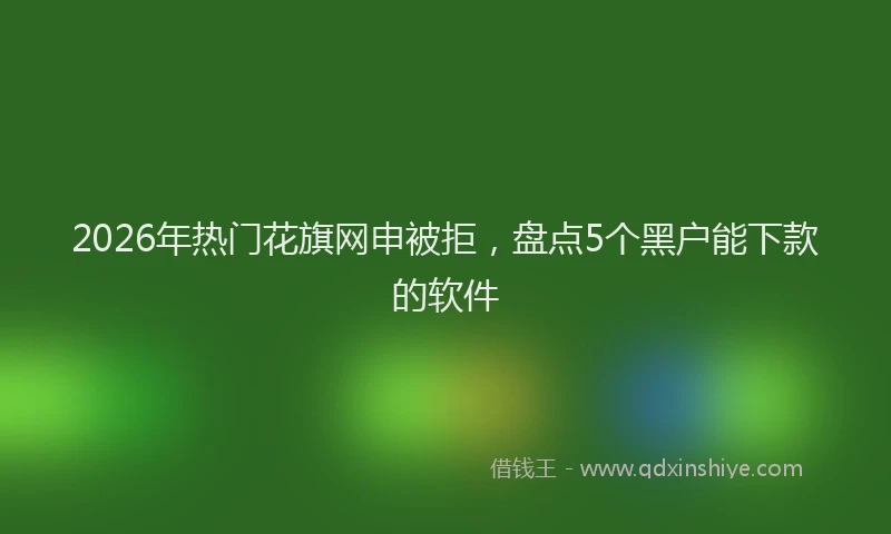 2026年热门花旗网申被拒，盘点5个黑户能下款的软件