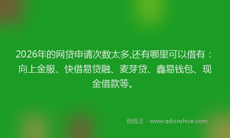 2026年的网贷申请次数太多,还有哪里可以借有:向上金服、快借易贷融、麦芽贷、鑫易钱包、现金借款等。